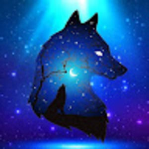 Meet your Posher, Dennis